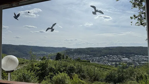 Bild von Restaurant Waldschenke zur eisernen Weinkarte