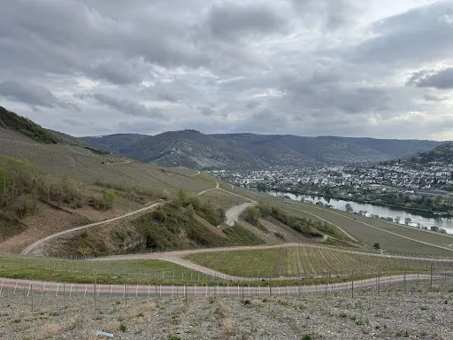 Bild von Restaurant Waldschenke zur eisernen Weinkarte