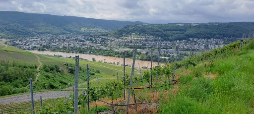 Bild von Restaurant Waldschenke zur eisernen Weinkarte
