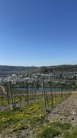 Bild von Restaurant Waldschenke zur eisernen Weinkarte