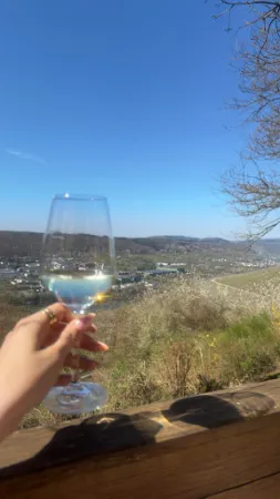 Bild von Restaurant Waldschenke zur eisernen Weinkarte
