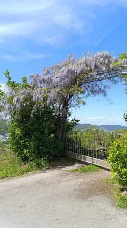Bild von Restaurant Waldschenke zur eisernen Weinkarte