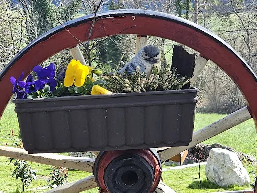 Bild von Gasthaus Berghütte