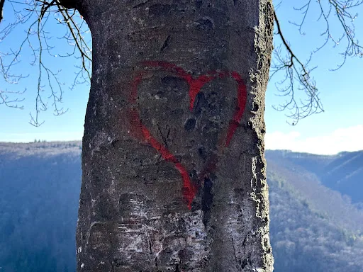 Bild von Brauhaus zum Kaiser