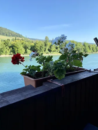 Bild von Gasthof Adler