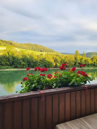 Bild von Gasthof Adler