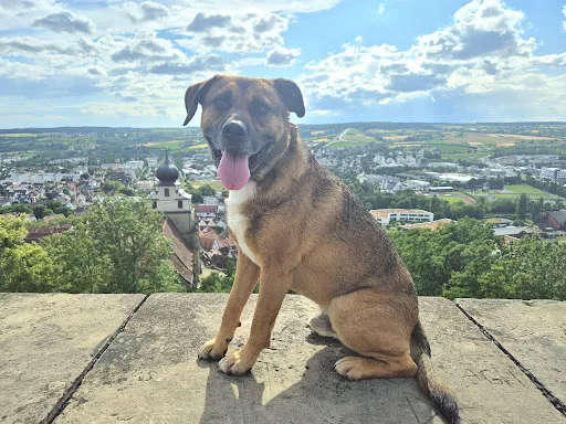 Bild von Schlosskeller Herrenberg