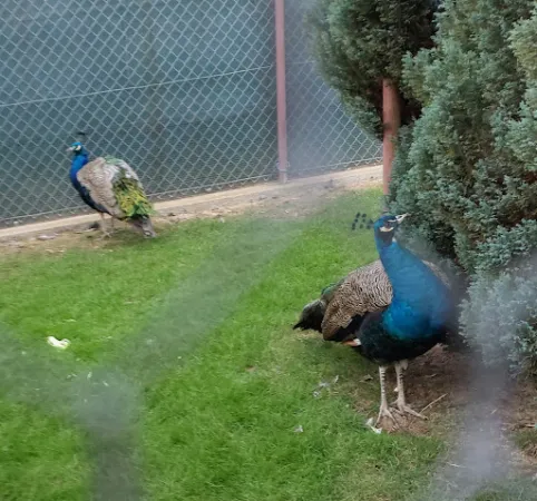 Bild von Hasenheim Bonlanden