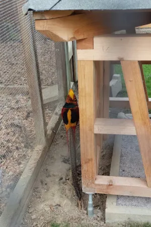 Bild von Hasenheim Bonlanden