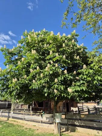 Bild von Hasenheim Bonlanden