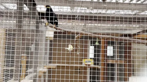 Bild von Hasenheim Bonlanden