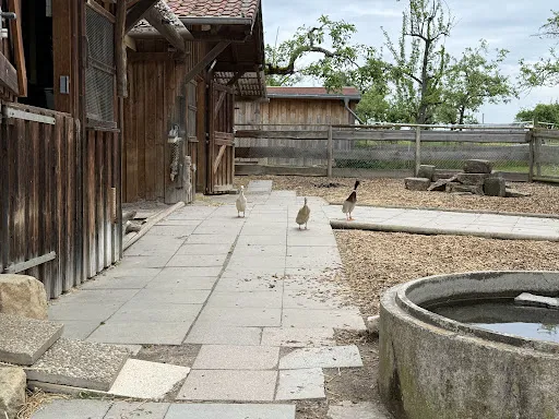 Bild von Hasenheim Bonlanden
