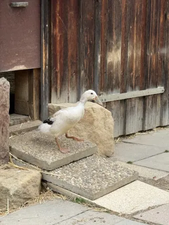 Bild von Hasenheim Bonlanden