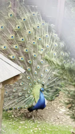 Bild von Hasenheim Bonlanden