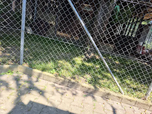 Bild von Restaurant Hasenheim - Daniel Volkensfeld
