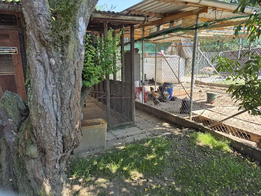 Bild von Restaurant Hasenheim - Daniel Volkensfeld