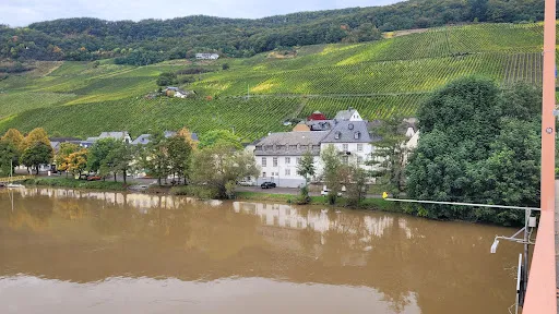 Bild von Landgasthof Alt Piesport