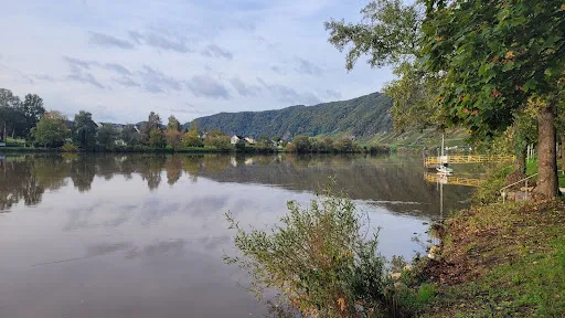 Bild von Landgasthof Alt Piesport