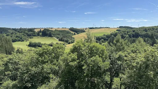 Bild von Burgschänke Wildenburg