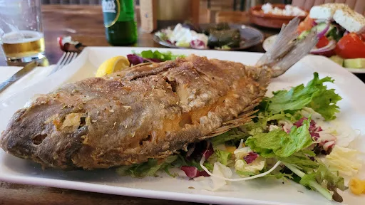 Bild von Ela - Griechische Taverne