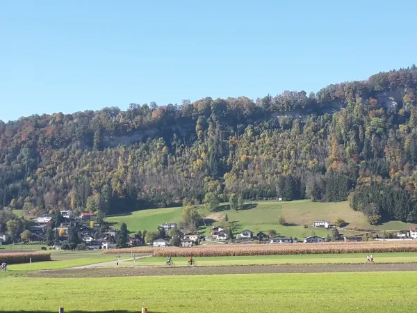 Bild von Shoji Abellana