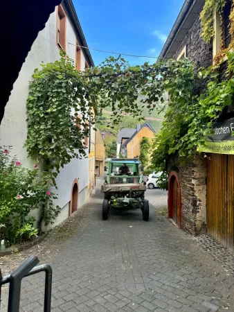 Bild von undefined