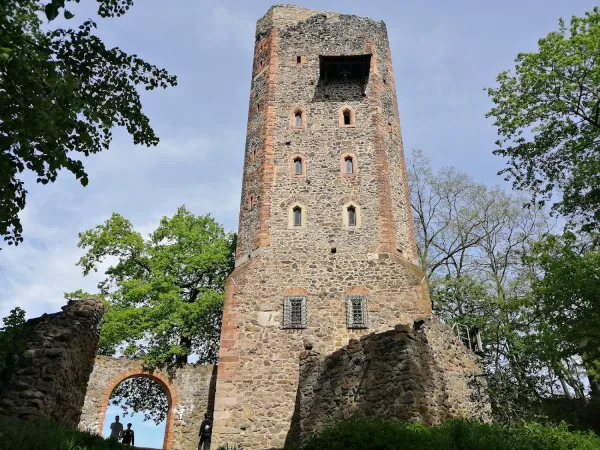 Bild von undefined