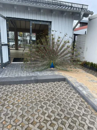 Bild von Imbiss Rocco