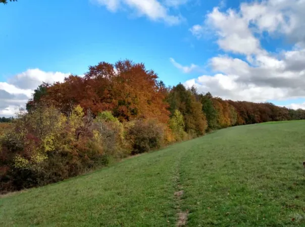 Bild von undefined