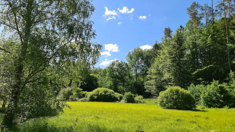 Bild von undefined