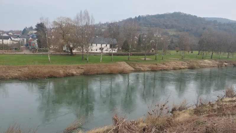 Bild von Revaler Hanseat