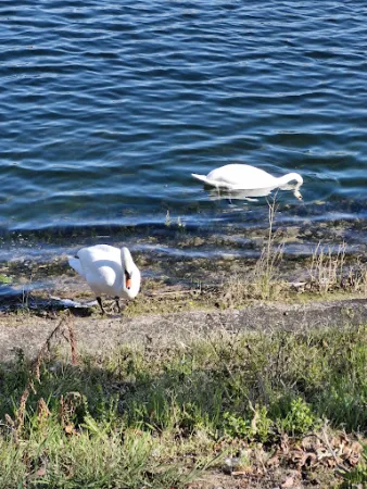 Bild von WSV Gaststätte - Ludwigshafen am Rhein
