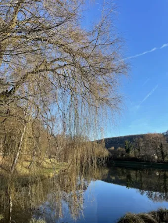 Bild von Das Fischerhaus Konz