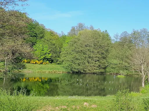 Bild von Das Fischerhaus Konz