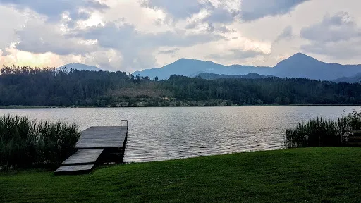 Bild von Buffet Gösselsdorfersee