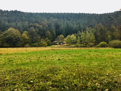 Bild von Hütte Am Schmalstein