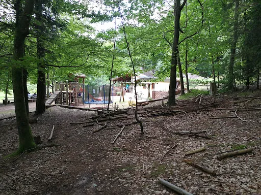 Bild von Hütte Am Schmalstein