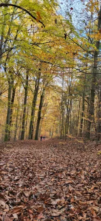 Bild von PWV Bad Dürkheim, Hütte in der Weilach