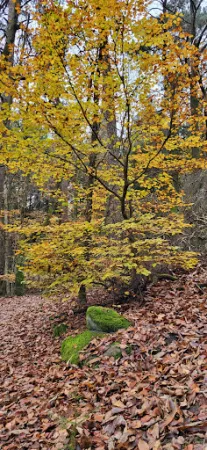 Bild von PWV Bad Dürkheim, Hütte in der Weilach