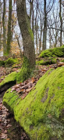 Bild von PWV Bad Dürkheim, Hütte in der Weilach