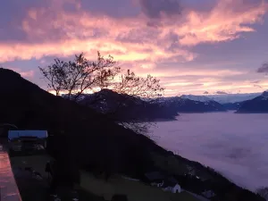 Bischahof