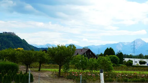 Bild von Restaurant Burg Landskron
