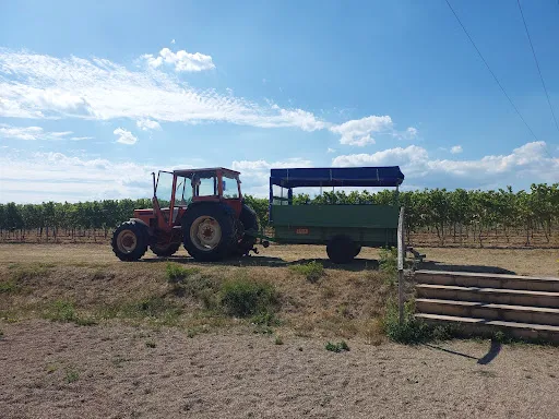 Bild von Weinhof und Weinstube Pfeffer