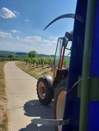 Bild von Weinhof und Weinstube Pfeffer