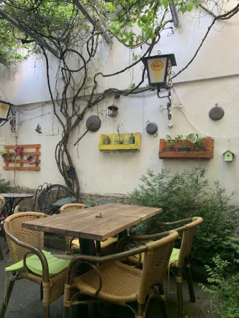 Bild von Old Lemon Tree