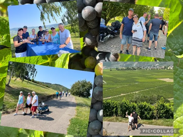 Bild von undefined