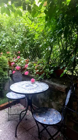 Bild von Old Lemon Tree