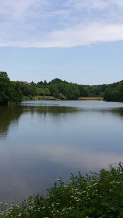 Bild von Cafe Ohmbachsee