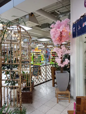 Bild von Kirschblüte Ramstein
