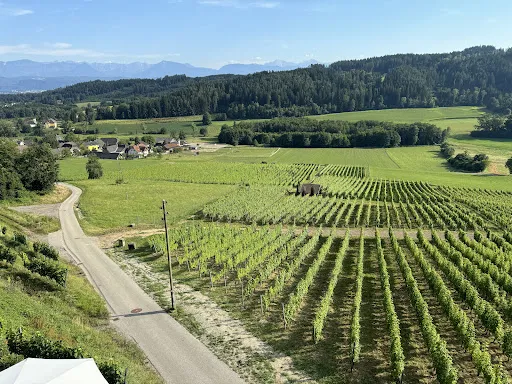 Bild von Restaurant & Stadtheuriger Leiten